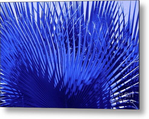 Blue Palm Leaves Metal Print featuring the photograph Blue Palms by Leah McPhail
