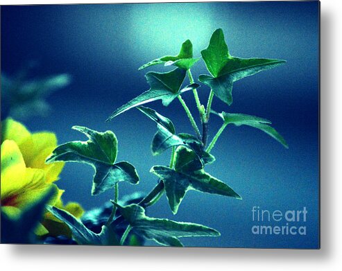 Blue Power Metal Print featuring the photograph Blue Power by Susanne Van Hulst