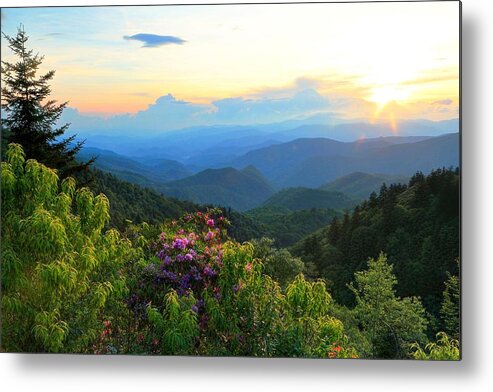 Carol Montoya Metal Print featuring the photograph Blue Ridge Parkway And Rhododendron by Carol Montoya
