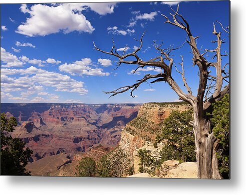 Grand Canyon Metal Print featuring the photograph Blue Sky Vista by William Oswald