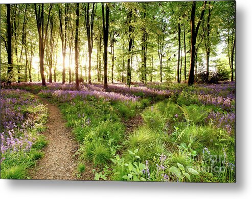 Bluebells Metal Print featuring the photograph Bluebell woods with birds flocking by Simon Bratt