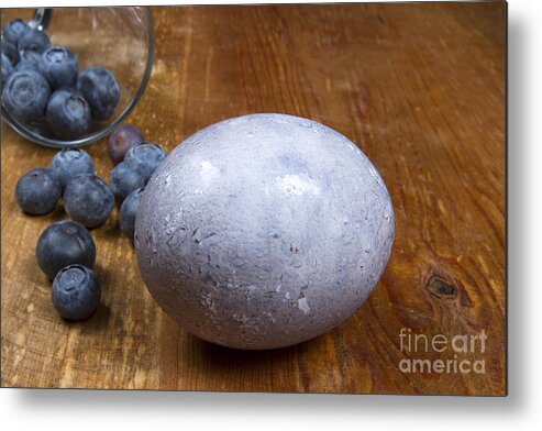 Easter Metal Print featuring the photograph Blueberry easter egg by Karen Foley