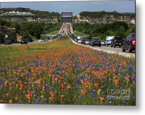 360 Bridge Metal Print featuring the photograph Bluebonnets and Indian Paintbrush wildflowers frame the 360 Brid by Dan Herron