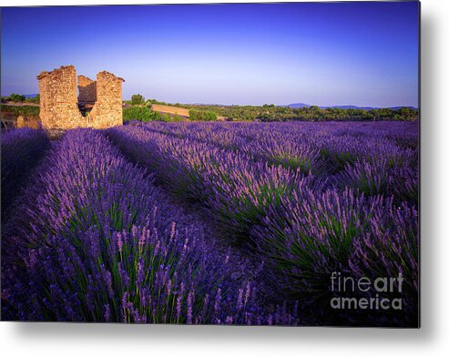 Valensole Metal Print featuring the photograph Bonjour Valensole by Marco Crupi