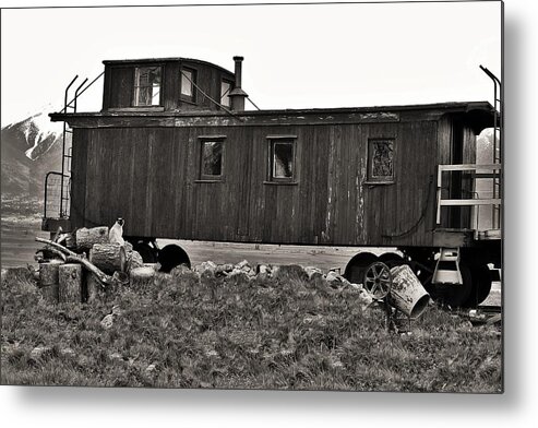 Train Metal Print featuring the photograph Bonzai Train by Sandra Dalton