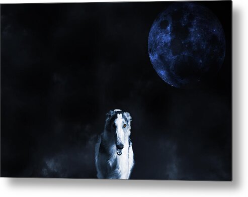 Borzoi Metal Print featuring the photograph Borzoi wolf-hound, hunting under a full moon by Christian Lagereek