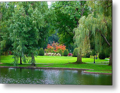 Boston Metal Print featuring the photograph Boston Common Study 3 by Robert Meyers-Lussier