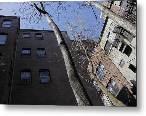 Perspective Metal Print featuring the photograph Boston by Valerie Collins
