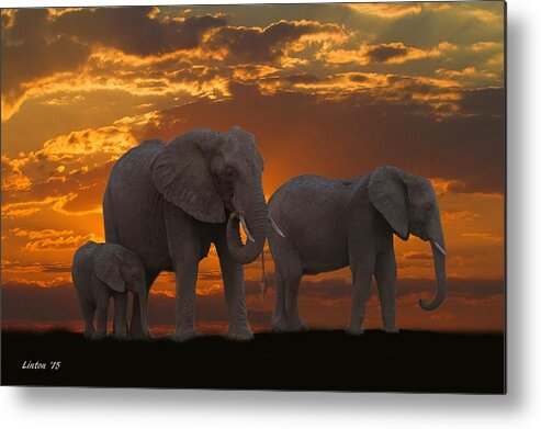 Elephants Metal Print featuring the photograph Botswana Sunset by Larry Linton