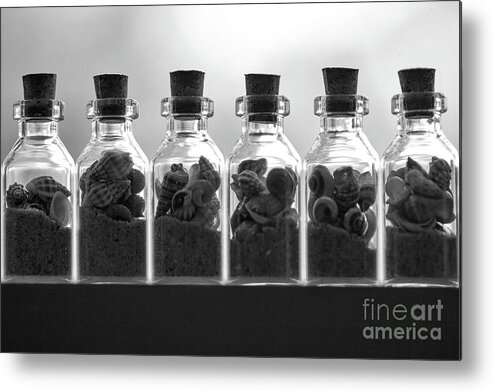 Bottle Metal Print featuring the photograph Bottled Beaches by Joe Geraci