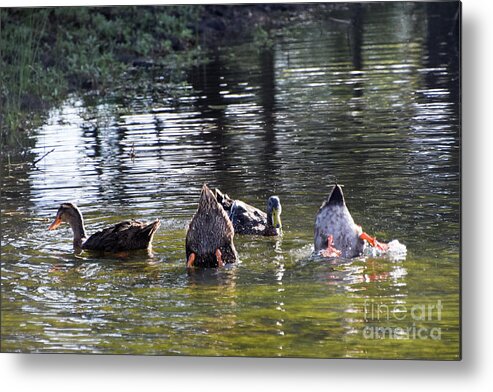 Rouen Metal Print featuring the photograph Bottoms Up by Cheryl McClure