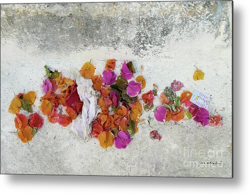 Insight Metal Print featuring the photograph Bougainvillea's Last Reunion by Marc Nader