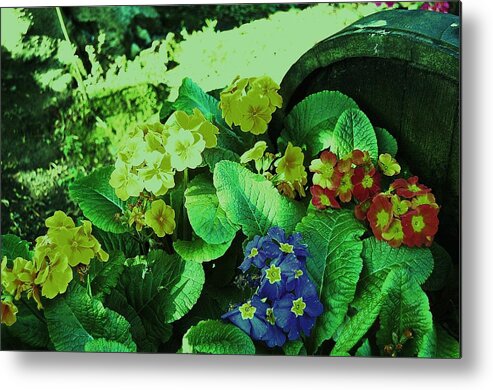 Flowers Metal Print featuring the photograph Bouquet by HweeYen Ong