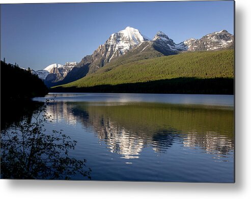 Bowman Lake Metal Print featuring the photograph Bowman Lake Spring Evening by Jack Bell