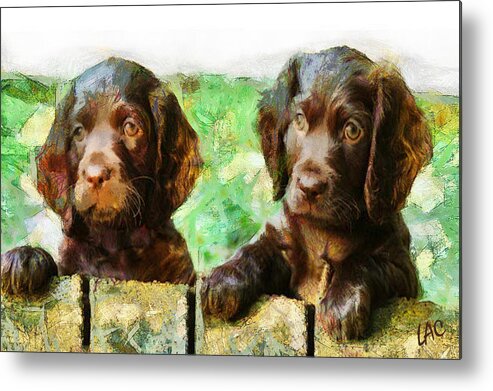 Boykin Spaniel Metal Print featuring the painting Boykin Buddies by Doggy Lips