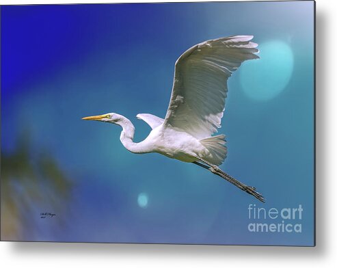 Egrets Metal Print featuring the photograph Breakin Dawn Flyer-The Great Egret by DB Hayes