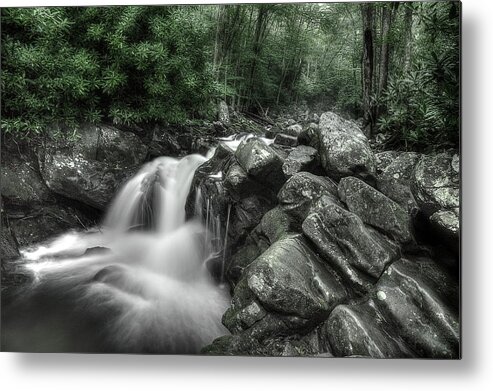 Tennessee Stream Metal Print featuring the photograph Breathe by Mike Eingle