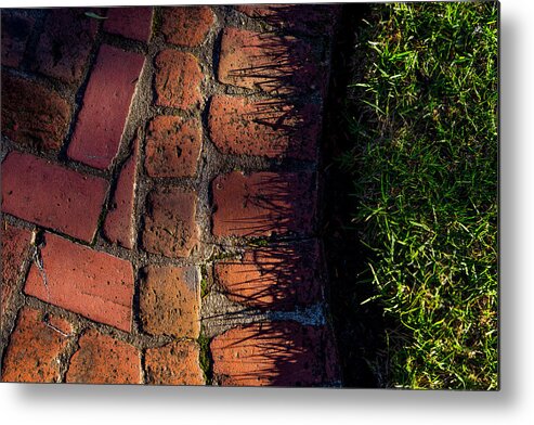 Bricks Metal Print featuring the photograph Brick Path in Afternoon Light by Derek Dean