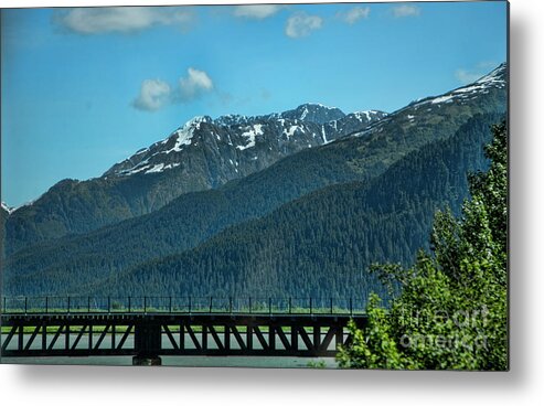 Alaska Metal Print featuring the photograph Bridge Alaska Rail by Chuck Kuhn