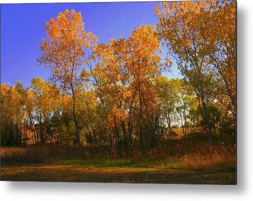 Landscape Metal Print featuring the photograph Brilliant Autumn Day in Oklahoma by Toni Hopper