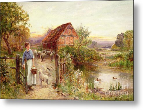 Bringing Home The Sheep By Ernest Walbourn (1872-1927) Metal Print featuring the painting Bringing Home the Sheep by Ernest Walbourn