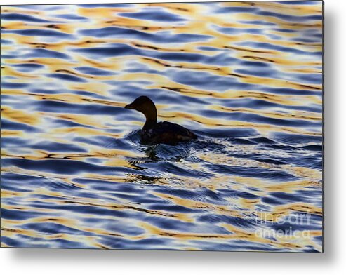Broken Serenity Metal Print featuring the photograph Broken Serenity by Gary Holmes