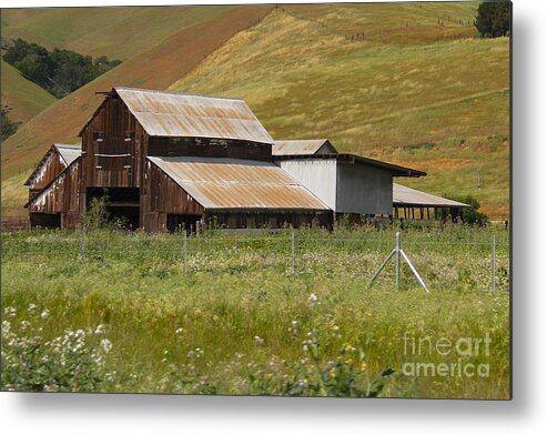 Farm Landscape Metal Print featuring the photograph Brown Barn Hill by Suzanne Oesterling