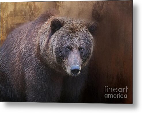 Brown Bear Metal Print featuring the photograph Brown Bear Portrait by Eva Lechner