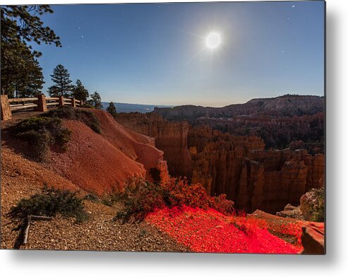 Landscape Metal Print featuring the photograph Bryce 4456 by Michael Fryd