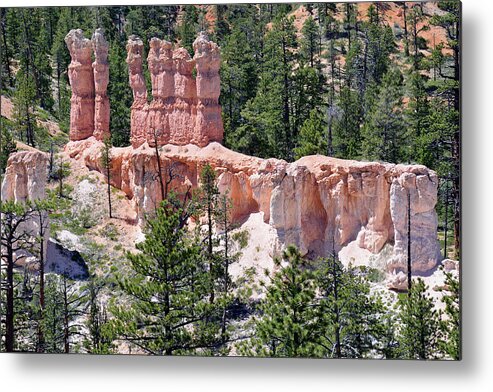 Bryce Metal Print featuring the photograph Bryce Canyon Backcountry by Bruce Gourley