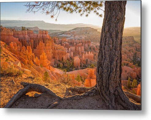 Bryce Canyon Sunrise National Park Utah Metal Print featuring the photograph Bryce Canyon National Park Sunrise 2 - Utah by Brian Harig