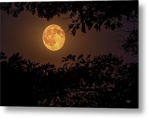 Moon Metal Print featuring the photograph Buck Moon 2016 by Everet Regal