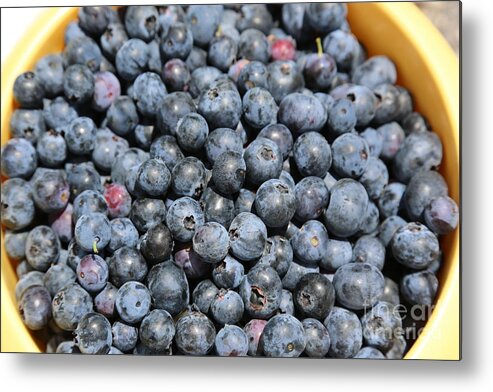 Blueberry Metal Print featuring the photograph Bucket of Blueberries by Carol Groenen