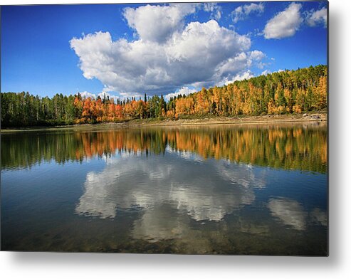 Montrose Metal Print featuring the photograph Buckhorn Reflections by Marta Alfred