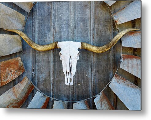 Texas Metal Print featuring the photograph Bull Blade by Raul Rodriguez
