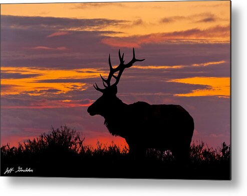 Animal Metal Print featuring the photograph Bull Tule Elk Silhouetted at Sunset by Jeff Goulden