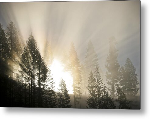 Fog Metal Print featuring the photograph Burning through the Fog by Albert Seger