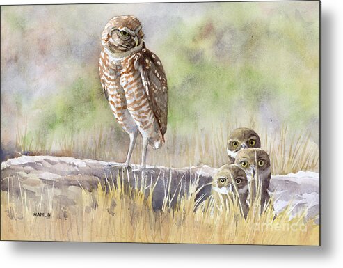 Bird Metal Print featuring the painting Burrowing Owl Family by Steve Hamlin