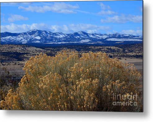 Southwest Landscape Metal Print featuring the photograph Bush with a view by Robert WK Clark