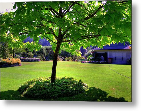 Butchart Metal Print featuring the photograph Butchart Gardens In Summer by Lawrence Christopher