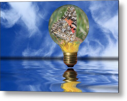 Butterfly Metal Print featuring the photograph Butterfly In Lightbulb - Landscape by Shane Bechler