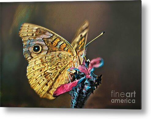 Butterfly Metal Print featuring the photograph Butterfly on a Flower by Wernher Krutein