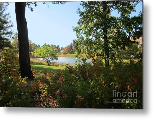 Photography Metal Print featuring the photograph By the Lake by Kathie Chicoine