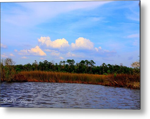 Cabbage Palms Metal Print featuring the photograph Cabbage Palms and Salt Marsh Grasses of the Waccasassa Preserve by Barbara Bowen