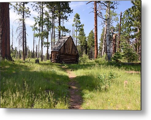 Photograph Metal Print featuring the photograph Cabin in the Woods by Richard Gehlbach