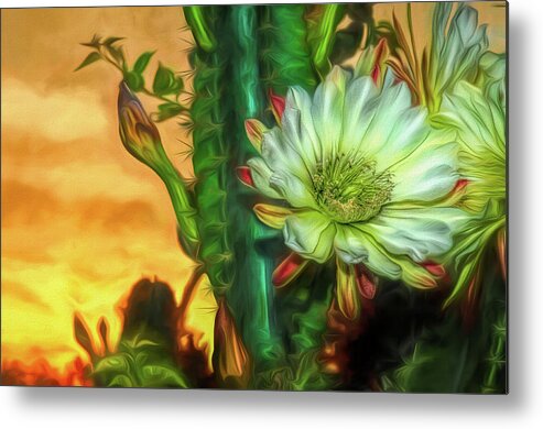 Cactus Metal Print featuring the photograph Cactus Flower at Sunrise by Pete Rems