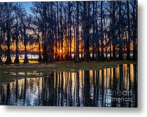 America Metal Print featuring the photograph Caddo Sunstar by Inge Johnsson