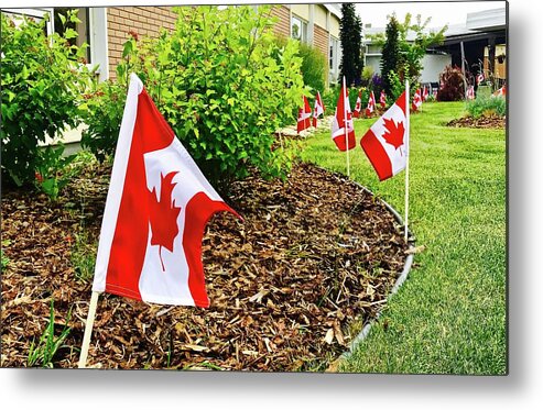  Metal Print featuring the photograph Canada Day by Brian Sereda
