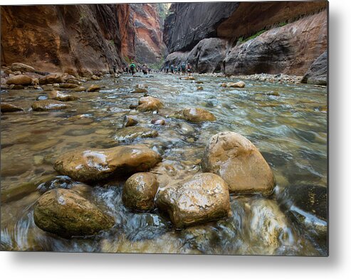 Narrows Metal Print featuring the photograph Canyon Beauty by Sue Cullumber