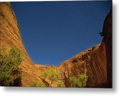 Coyote Gulch Metal Print featuring the photograph Canyons and Stars by Kunal Mehra